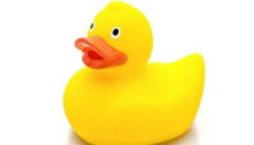 AI中转站：DuckCoding 白嫖首选